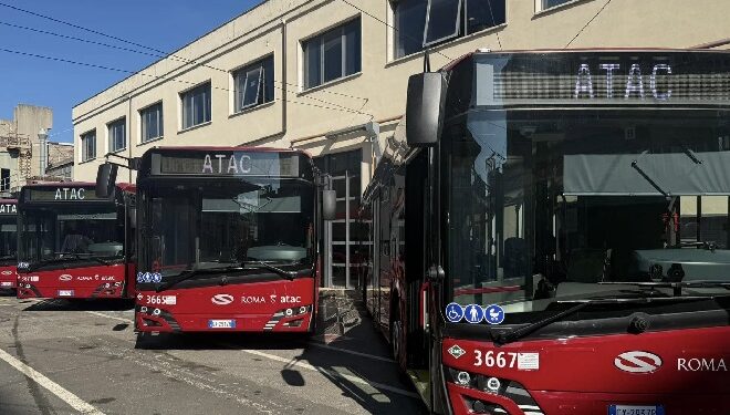 Mobilità, entra in servizio la linea bus 252: collegherà la Moschea alla metro B