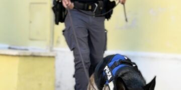 Periferia Est, 6 arresti per spaccio: trovati 2 kg di droga tra “riserve” domestiche e nascondigli in strada