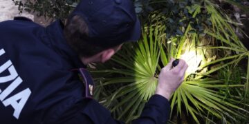 Spaccio itinerante e business online per le ordinazioni: 7 arresti