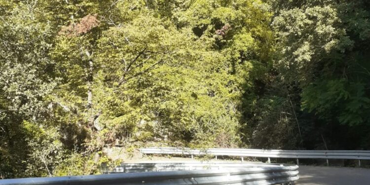 Viabilità comunale nelle frazioni di Rieti, interventi a Cupaello