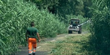 Decoro, firmato protocollo d’intesa con Ama e associazione Evera