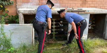 Droga e furto di utenze, sei arresti e sette denunce tra TorBella e Rocca Cencia