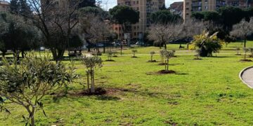 Al Parco dei Romanisti l’olio destinato alle famiglie fragili